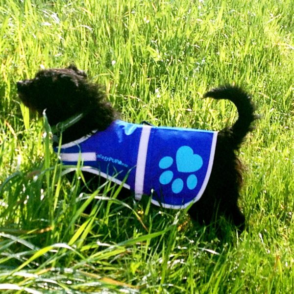 Dog Reflective Vest – Multiple Color Options with Hi Vis Fluorescent Visibility Helping to Safeguard Your Pet On Off Leash in Urban & Rural Areas. - Image 4