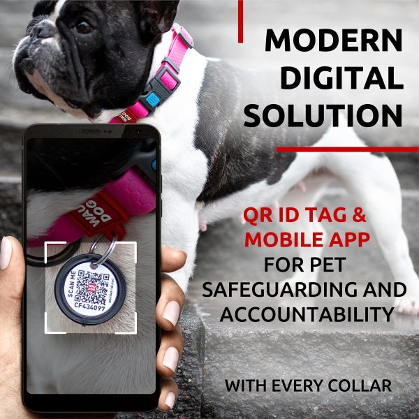 Waterproof Dog Collar   Adjustable Dog Collar for Large Dogs Small and Medium Dogs   Breakaway Dog Collar Waterproof with Plastic Buckle and QR Dog Tag   Boy & Girl Dog Collars (Pink) - Image 6