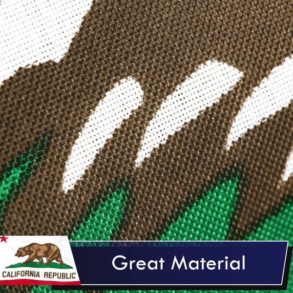 California CA State Flag 3x5 Ft 10-Pack Printed Polyester By G128 - Image 4