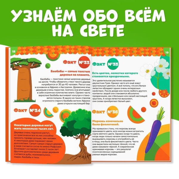 Encyclopedia for Children «100 Facts About The World Around Us Чебурашка» in Russian Language   Hardcover 48 Pages Fun and Educational Book for Kids   Детская Энциклопедия   Russian Books - Image 4