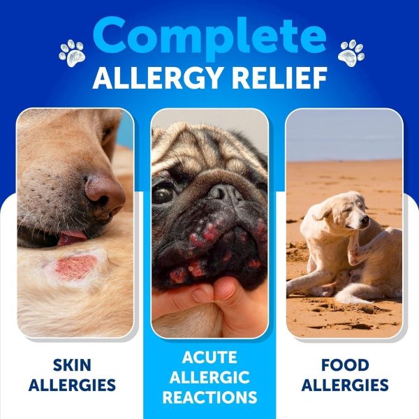 Dog Allergy Relief Chews   Itching Skin Relief for Dogs   Fish Oil   Omega 3   Seasonal Allergies Pills   Skin & Coat Anti ItchHot Spots Treatment   Canine Immune Health Supplement   120 Soft Treats - Image 3