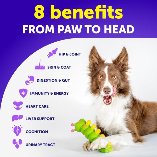 Dog Multivitamin Chewable with Glucosamine 20 in 1   Dog Vitamins and Supplements   Senior & Puppy Multivitamin for Dogs   Pet Joint Support Health   Immunity Mobility Gut Skin   120 Chews - Image 3