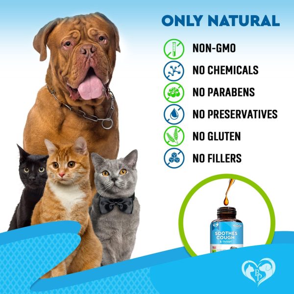 Kennel Cough Treatment & Natural Infection Medicine for Dogs & Cats   Respiratory & Cold Cough Relief   Collapse Trachea & Cat Asthma Support   Made in USA - Image 6