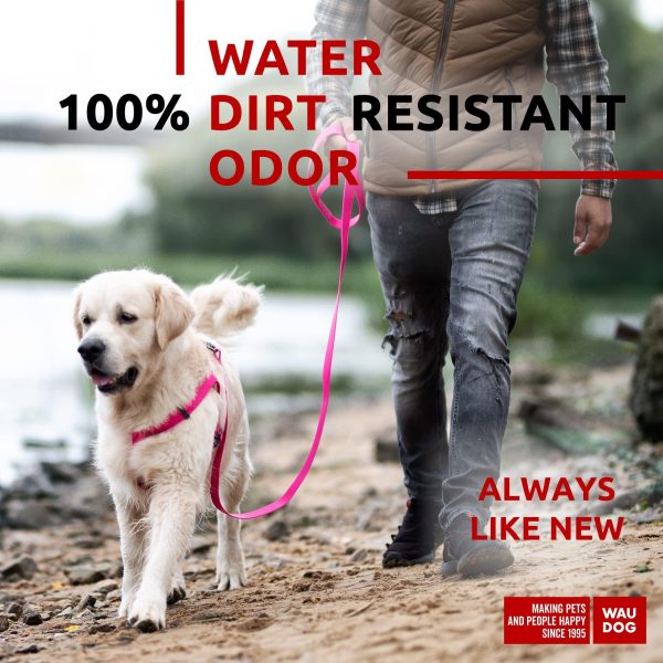Waterproof Dog Leash 4 Ft   6 Ft   Anti Slip Dog Leash for Large Dogs Small and Medium Dogs   Heavy Duty Dog Leash with Water and Dirt Resistant   Long Or Short Dog Leashes for Boy & Girl Dogs - Image 2