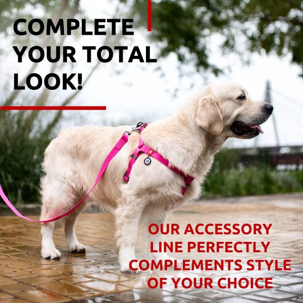 Waterproof Dog Leash 4 Ft   6 Ft   Anti Slip Dog Leash for Large Dogs Small and Medium Dogs   Heavy Duty Dog Leash with Water and Dirt Resistant   Long Or Short Dog Leashes for Boy & Girl Dogs - Image 6