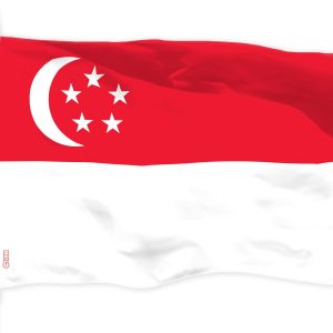G128 Singapore Singaporean Flag | 3x5 Ft | LiteWeave Pro Series Printed 150D Polyester | Country Flag, Indoor/Outdoor, Vibrant Colors, Brass Grommets, Thicker and More Durable Than 100D 75D Polyester