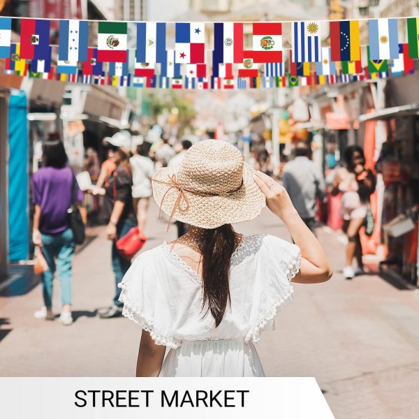 G128 Latin America 20 Countries  Bunting Banner | Flag 12 x 18 Inch, Full String 30 Feet | Printed 150D Polyester, Decorations For Bar, School, Festival Events Celebration - Image 5