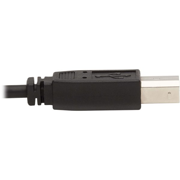 Eaton Tripp Lite Series Dual DisplayPort KVM Cable Kit - DP, USB, 3.5 mm Audio (3xM/3xM) + DP (M/M), 4K, 4:4:4, 10 ft. (3.05 m), Black - Image 7