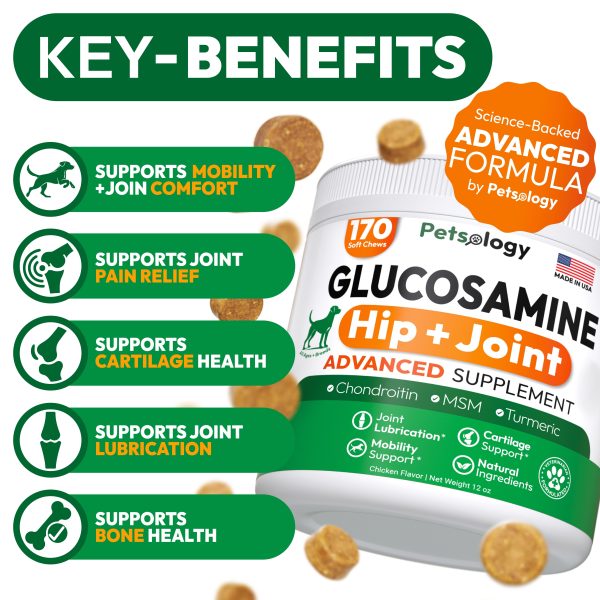 Glucosamine for Dogs   Hip and Joint Supplement for Dogs   170 Mobility Chews   Glucosamine Chondroitin   MSM   Turmeric   Joint Pain Relief   Advanced Support for Dog Health   Made in USA - Image 2