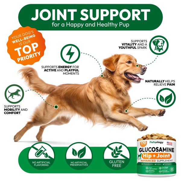 Glucosamine for Dogs   Hip and Joint Supplement for Dogs   170 Mobility Chews   Glucosamine Chondroitin   MSM   Turmeric   Joint Pain Relief   Advanced Support for Dog Health   Made in USA - Image 4