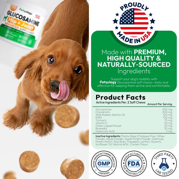 Glucosamine for Dogs   Hip and Joint Supplement for Dogs   170 Mobility Chews   Glucosamine Chondroitin   MSM   Turmeric   Joint Pain Relief   Advanced Support for Dog Health   Made in USA - Image 6