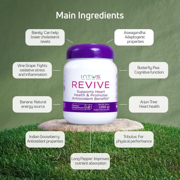 Intus Revive   Ayurvedic Dietary Supplement for Heart Health with Ashwagandha and Antioxidants   Immune Support Supplement That Can Help Control Blood and Improve Chronic Fatigue   8.8 oz - Image 6