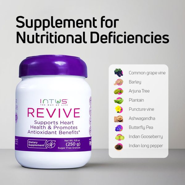 Intus Revive   Ayurvedic Dietary Supplement for Heart Health with Ashwagandha and Antioxidants   Immune Support Supplement That Can Help Control Blood and Improve Chronic Fatigue   8.8 oz - Image 8