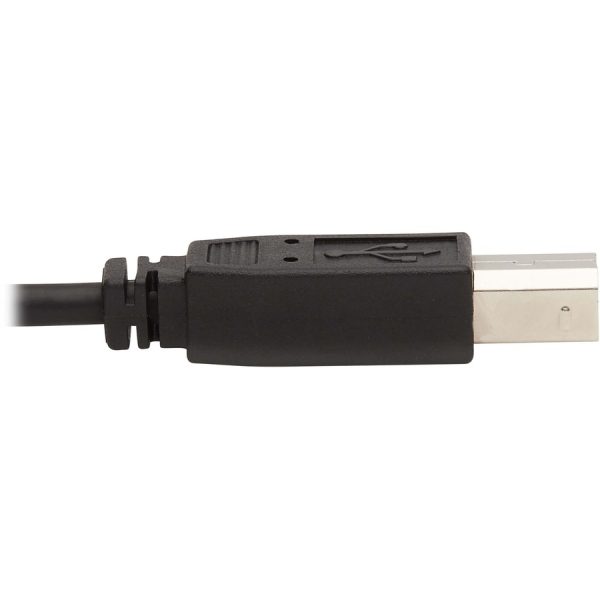 Eaton Tripp Lite Series Dual DisplayPort KVM Cable Kit - DP, USB, 3.5 mm Audio (3xM/3xM) + DP (M/M), 4K, 4:4:4, 6 ft. (1.83 m), Black - Image 7