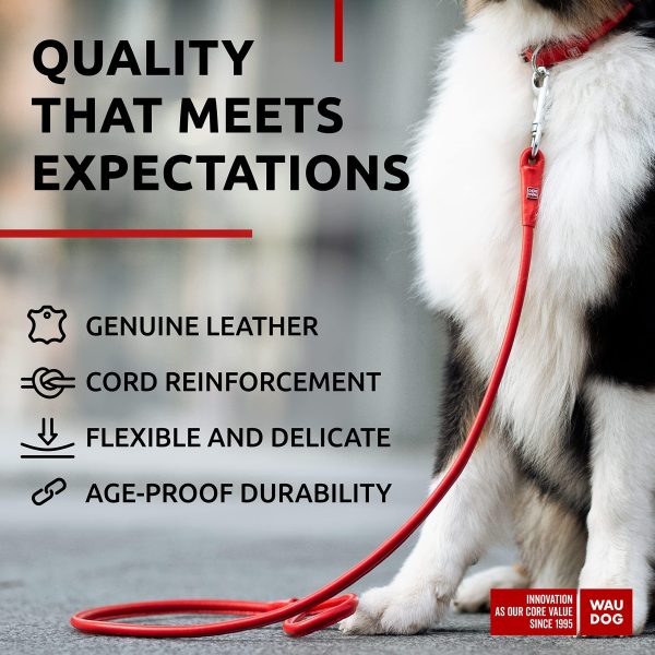 Rolled Leather Dog Leash 4Ft * 0.5 in for Small Medium and Large Dogs   Heavy Duty Leather Puppy Leash for Outdoor Walking Running Training   Strong Dog Leashes for Large Breed Dogs (Red) - Image 3