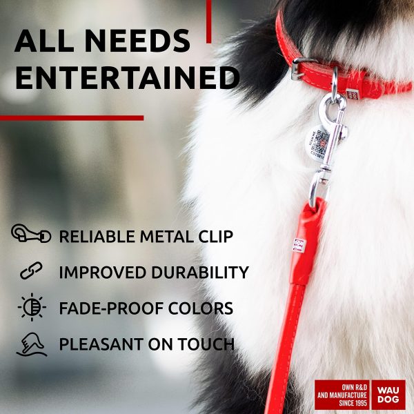 Rolled Leather Dog Leash 4Ft * 0.5 in for Small Medium and Large Dogs   Heavy Duty Leather Puppy Leash for Outdoor Walking Running Training   Strong Dog Leashes for Large Breed Dogs (Red) - Image 4
