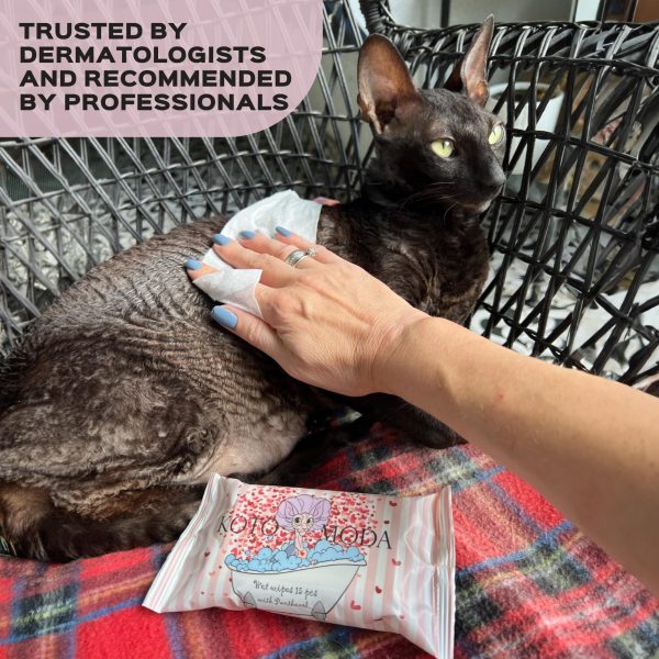 Kotomoda Wet Wipes with Panthenol for Sphynx cat for Everyday use (24Pack 360Count) - Image 8