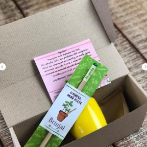 Living growing seed sprout wood pencil kid's garden kit children's garden seed kit grow your own garden kit perfect for kids and adults