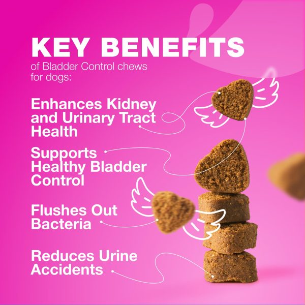 Dog UTI Treatment   Dog Cranberry Supplement for Bladder & Kidney Health Urinary Tract Incontinence Support   Cranberry Supplement for Dog Incontinence   Bladder Control Cranberry Chews - Image 3