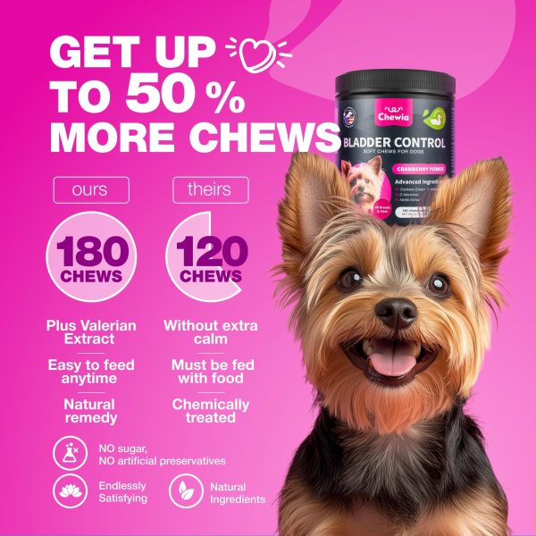 Dog UTI Treatment   Dog Cranberry Supplement for Bladder & Kidney Health Urinary Tract Incontinence Support   Cranberry Supplement for Dog Incontinence   Bladder Control Cranberry Chews - Image 6