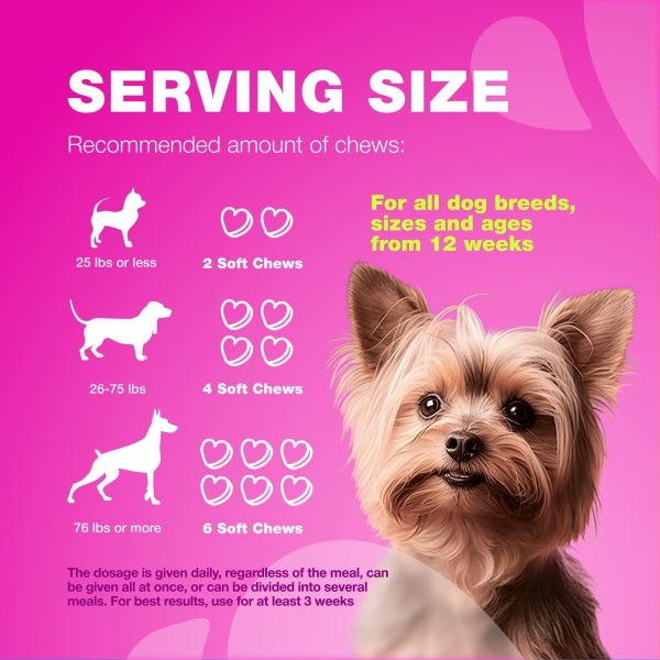 Dog UTI Treatment   Dog Cranberry Supplement for Bladder & Kidney Health Urinary Tract Incontinence Support   Cranberry Supplement for Dog Incontinence   Bladder Control Cranberry Chews - Image 8