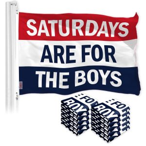 Boys Saturday Fun Flag 3x5 Ft 10-Pack Printed 150D Polyester By G128