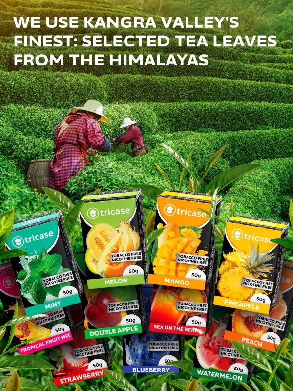 Shisha Hookah Flavors Fruit Set Shisha   3.5 ounce   100 Gram Fruit Set Flavor   Herbal Hookah Tobacco & Nicotine Free Hookah Shisha - Image 3