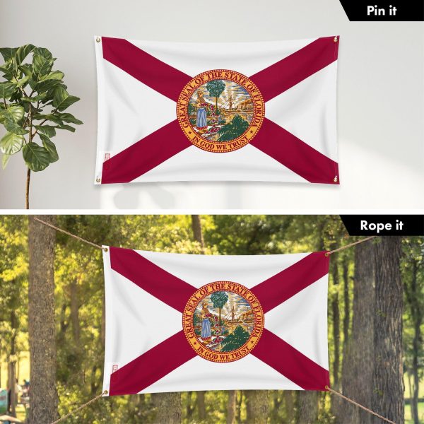 G128 Combo Pack: 6 Ft Tangle Free Aluminum Spinning Flagpole (Black) & Florida FL State Flag 3x5 Ft, LiteWeave Pro Series Printed 150D Polyester, 4 Corner Brass Grommets | Pole with Flag Included - Image 6