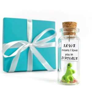 Cute and Kawaii Valentine's Day and Anniversary Presents   Personalized Love Gifts for Boyfriend Girlfriend (Green Dino   Rawr Means I Love You in Dinosaur in Teal Gift Box)