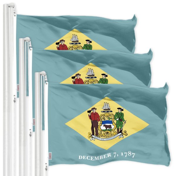 G128 3 Pack: Delaware DE State Flag | 3x5 Ft | LiteWeave Pro Series Printed 150D Polyester | Indoor/Outdoor, Vibrant Colors, Brass Grommets, Thicker and More Durable Than 100D 75D Polyester