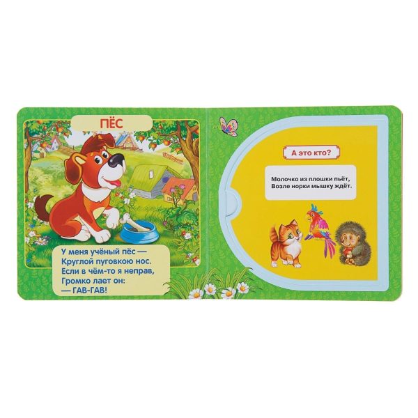 Busy Book in Russian Language by Stepanov   Speech Therapy Russian Books   Learn Russian Flash Cards   Animal Books Russian   Книги На Русском - Image 3