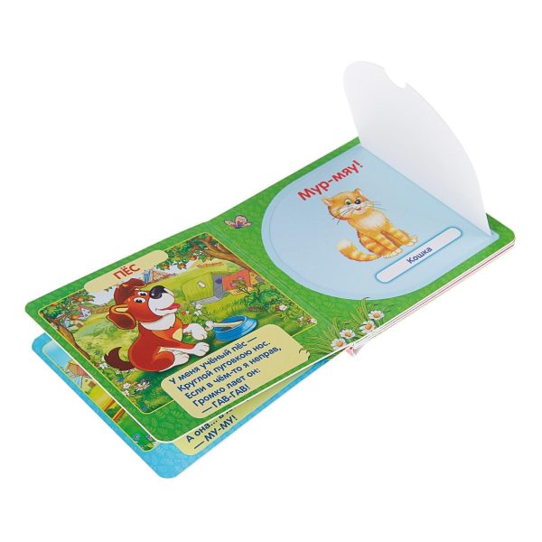Busy Book in Russian Language by Stepanov   Speech Therapy Russian Books   Learn Russian Flash Cards   Animal Books Russian   Книги На Русском - Image 4
