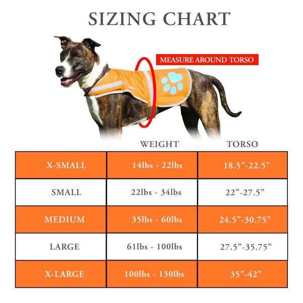 Reflective Dog Vest. Hi Visibility Fluorescent Blaze Orange Dog Vest Helps Protect Your Best Friend. Safeguard Your PUP from Motorists & Hunting Accidents On or Off Leash. (X Small) - Image 2
