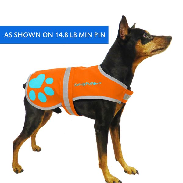 Reflective Dog Vest. Hi Visibility Fluorescent Blaze Orange Dog Vest Helps Protect Your Best Friend. Safeguard Your PUP from Motorists & Hunting Accidents On or Off Leash. (X Small) - Image 5