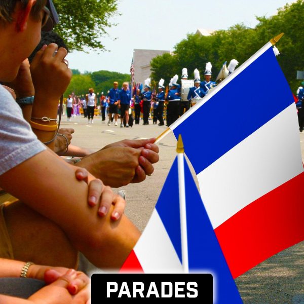 G128 12 Pack Handheld France French Stick Flags | 12x18 In | Printed 150D Polyester, Country Flag, Solid Wooden Stick, Spear Gold Tip - Image 5