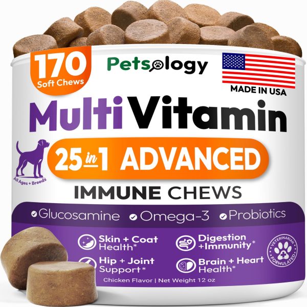Dog Multivitamin Chewable   Dog Vitamins and Supplements with Glucosamine   170 Chews   Hip & Joint Pet Immune Support Skin & Coat Gut & Heart Health   Senior & Puppy Multivitamin Pet Supplement