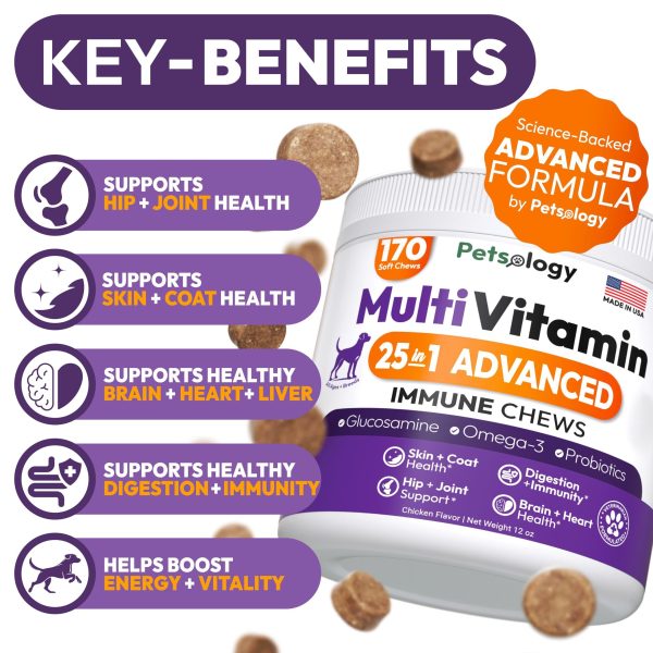 Dog Multivitamin Chewable   Dog Vitamins and Supplements with Glucosamine   170 Chews   Hip & Joint Pet Immune Support Skin & Coat Gut & Heart Health   Senior & Puppy Multivitamin Pet Supplement - Image 2