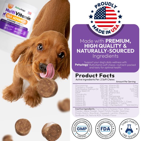 Dog Multivitamin Chewable   Dog Vitamins and Supplements with Glucosamine   170 Chews   Hip & Joint Pet Immune Support Skin & Coat Gut & Heart Health   Senior & Puppy Multivitamin Pet Supplement - Image 6