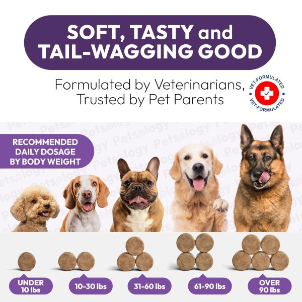 Dog Multivitamin Chewable   Dog Vitamins and Supplements with Glucosamine   170 Chews   Hip & Joint Pet Immune Support Skin & Coat Gut & Heart Health   Senior & Puppy Multivitamin Pet Supplement - Image 7