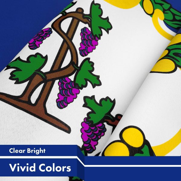 G128 Connecticut CT State Flag | 3x5 Ft | LiteWeave Pro Series Printed 150D Polyester | Indoor/Outdoor, Vibrant Colors, Brass Grommets, Thicker and More Durable Than 100D 75D Polyester - Image 3