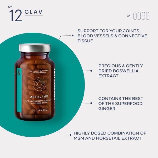 Boswellia Extract Capsules with MSM Horsetail Extract Gotu Kola & Ginger Extracts   Joint Support Supplement   120 Capsules - Image 3