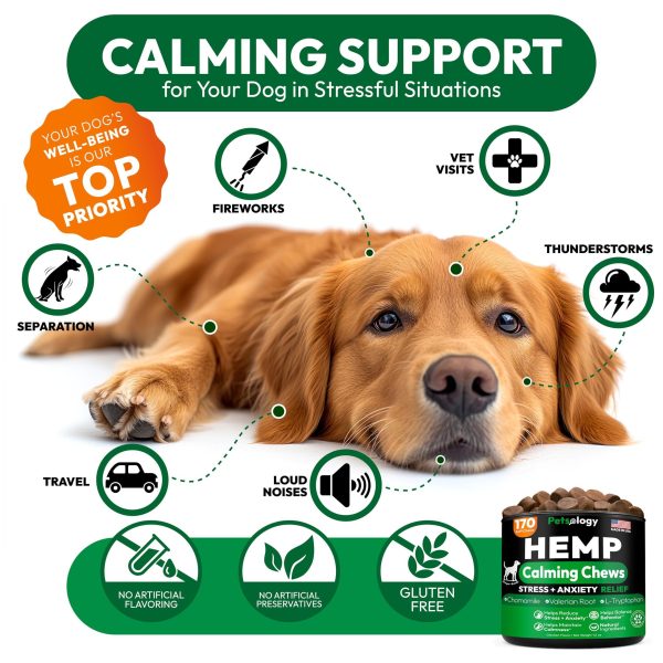 Hemp Calming Chews for Dogs   170 Dog Calming Chews   Anxiety Relief Treats   Advanced Stress Relief Separation Aid Barking Thunder Fireworks Melatonin   Pet Supplement   Made in USA - Image 4