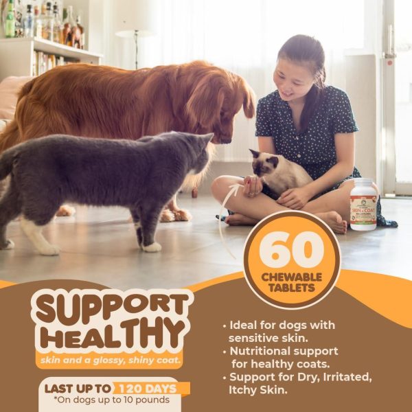 Skin and Coat Supplement with Fish Oil and Omega 3 for Dogs and Cats   Dog Itch Relief Pet Supplement for Shedding Dry Itchy Skin and Allergies   Dog Allergy Treatment Vitamins (60 Chewable Tablets) - Image 4