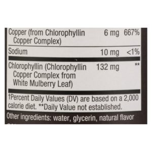 Nature's Way - Chlorofresh Liquid Chlorophyll Natural Mint - 16 fl oz