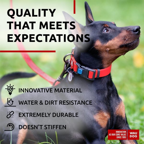 WAUDOG Waterproof Dog Collar   Adjustable Dog Collar for Large Dogs Small and Medium Dogs   Breakaway Dog Collar Waterproof with Plastic Buckle and QR Dog Tag   Boy & Girl Dog Collars (Red) - Image 4