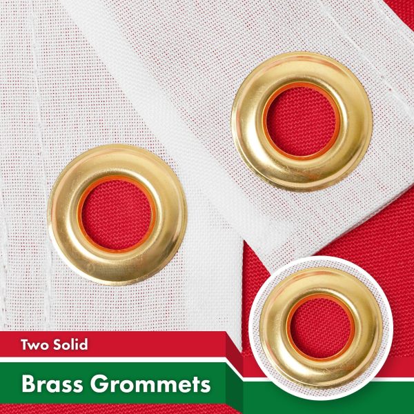 G128 10 Pack: Belarus Belarusian Flag | 3x5 Ft | LiteWeave Pro Series Printed 150D Polyester | Country Flag, Indoor/Outdoor, Vibrant Colors, Brass Grommets, Thicker and More Durable Than 100D 75D Poly - Image 2