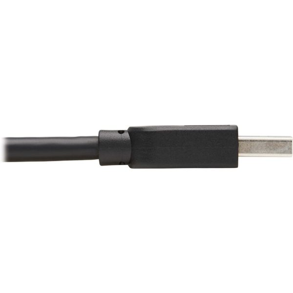 Eaton Tripp Lite Series USB 3.0 SuperSpeed A to A Cable for USB 3.0 All-in-One Keystone/Panel Mount Couplers (M/M), Black, 10 ft. (3 m) - Image 4