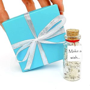 Tiny Magical Message in a Bottle Gift Idea   Classy Inspirational Gifts for Him and Her   Unique Presents for Women and Men (White Dandelion   Make a Wish in Teal Gift Box)