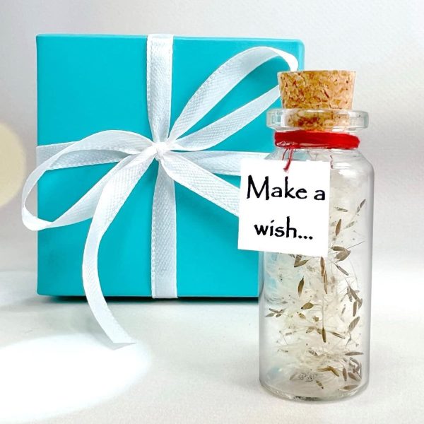 Tiny Magical Message in a Bottle Gift Idea   Classy Inspirational Gifts for Him and Her   Unique Presents for Women and Men (White Dandelion   Make a Wish in Teal Gift Box) - Image 2