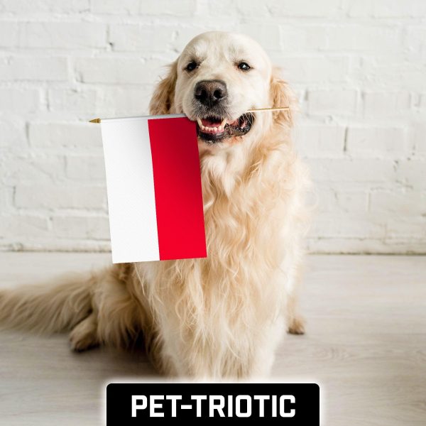 G128 50 Pack Handheld Poland Polish Stick Flags | 12x18 In | Printed 150D Polyester, Country Flag, Solid Wooden Stick, Spear Gold Tip - Image 7